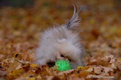 Nov15_07_099.jpg