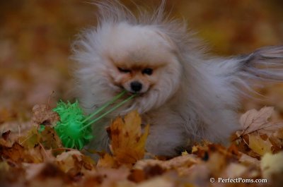 Nov15_07_102.jpg