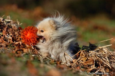 Nov18_07_379.jpg