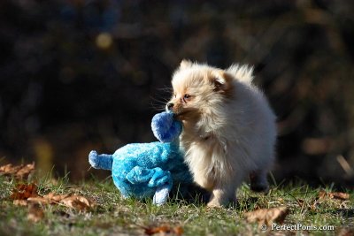 Nov18_07_382.jpg