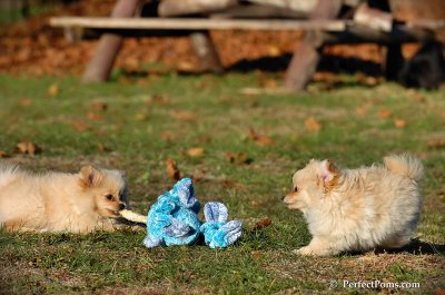 Nov18_07_392.jpg