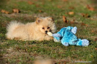 Nov18_07_393.jpg