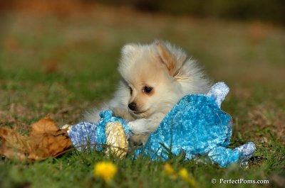 Nov18_07_409.jpg