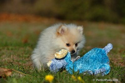 Nov18_07_412.jpg