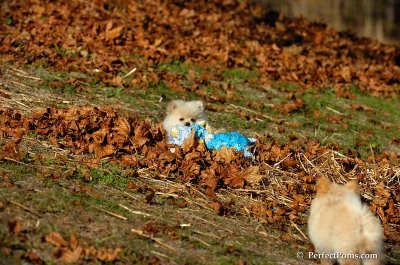 Nov18_07_181.jpg