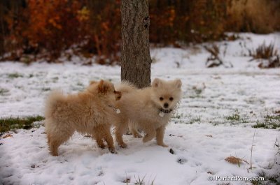 Nov24_07_267.JPG