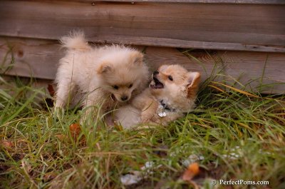 Nov24_07_326.JPG