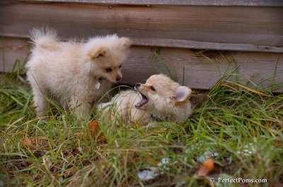 Nov24_07_332.JPG
