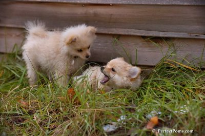 Nov24_07_333.JPG