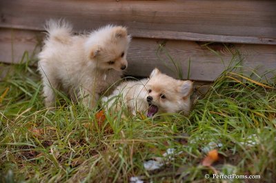 Nov24_07_335.JPG