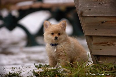 Nov24_07_342.JPG