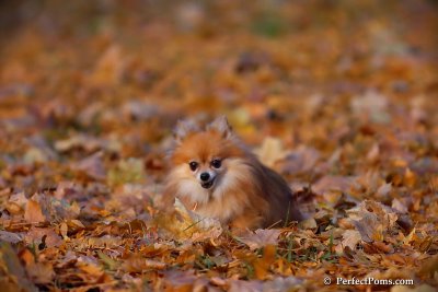 Nov25_07_288.JPG