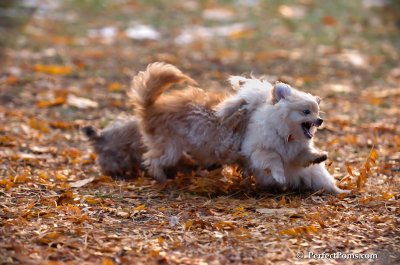 Nov25_07_302.JPG