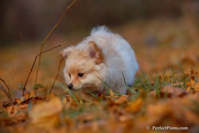 Nov25_07_311.JPG