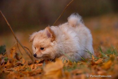 Nov25_07_312.JPG