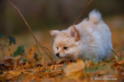 Nov25_07_313.JPG