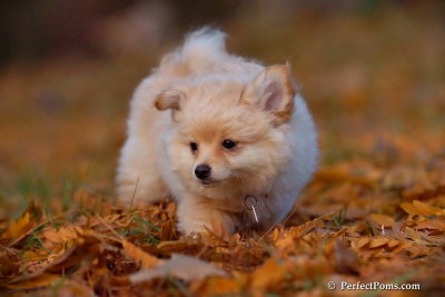 Nov25_07_316.JPG