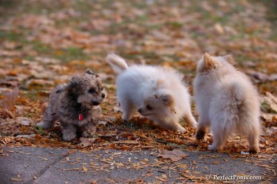 Nov25_07_382.JPG