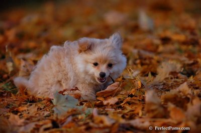 Nov25_07_392.JPG