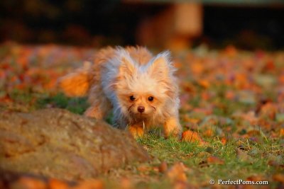 Nov25_07_393.JPG