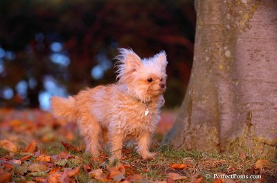 Nov25_07_394.JPG