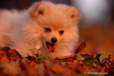 Nov25_07_397.JPG