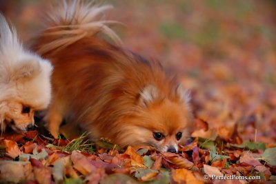 Nov25_07_398.JPG