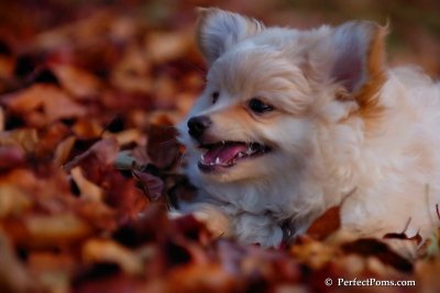 Nov25_07_403.JPG