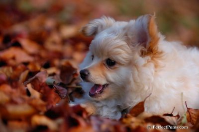 Nov25_07_405.JPG