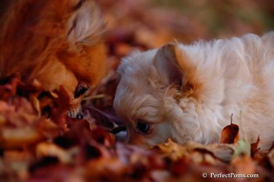 Nov25_07_406.JPG