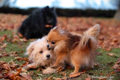 Nov25_07_418.JPG