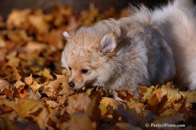 Nov25_07_207.JPG