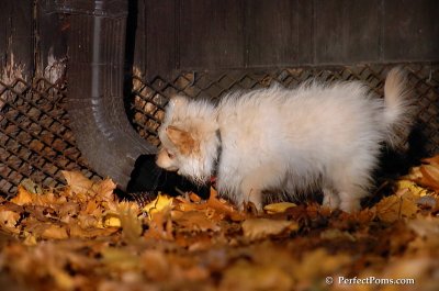 Nov25_07_218.JPG