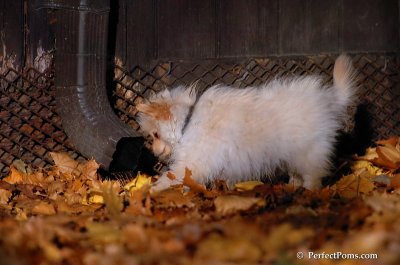 Nov25_07_220.JPG