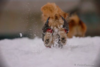 Dec2_07_660.jpg
