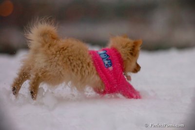 Dec2_07_671.jpg