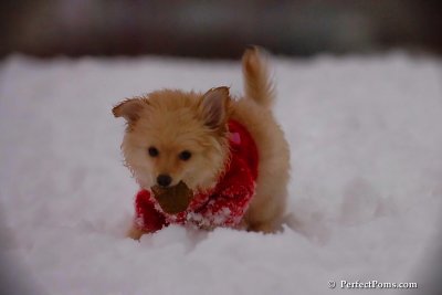 Dec2_07_674.jpg
