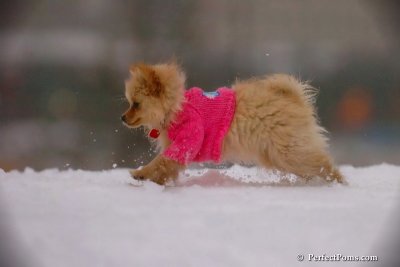Dec2_07_677.jpg