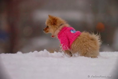 Dec2_07_678.jpg