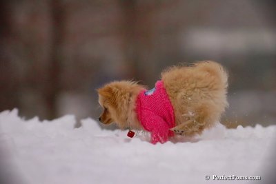 Dec2_07_680.jpg