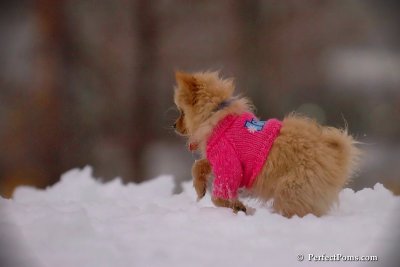 Dec2_07_681.jpg