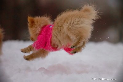 Dec2_07_684.jpg