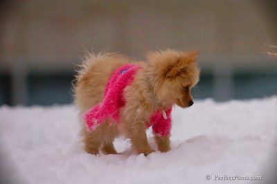 Dec2_07_685.jpg