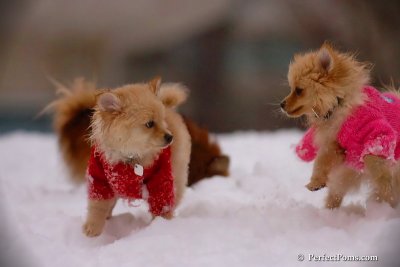 Dec2_07_688.jpg