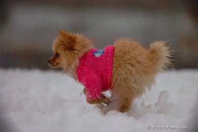 Dec2_07_690.jpg