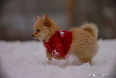 Dec2_07_702.jpg