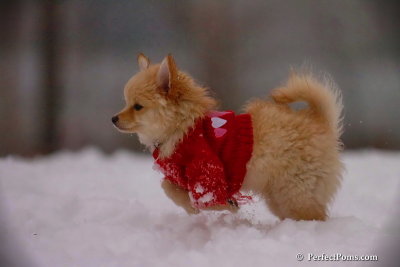 Dec2_07_703.jpg
