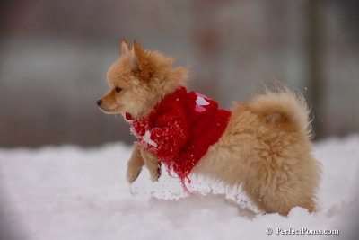 Dec2_07_704.jpg