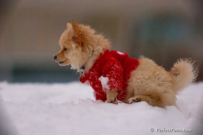 Dec2_07_705.jpg