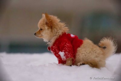 Dec2_07_706.jpg